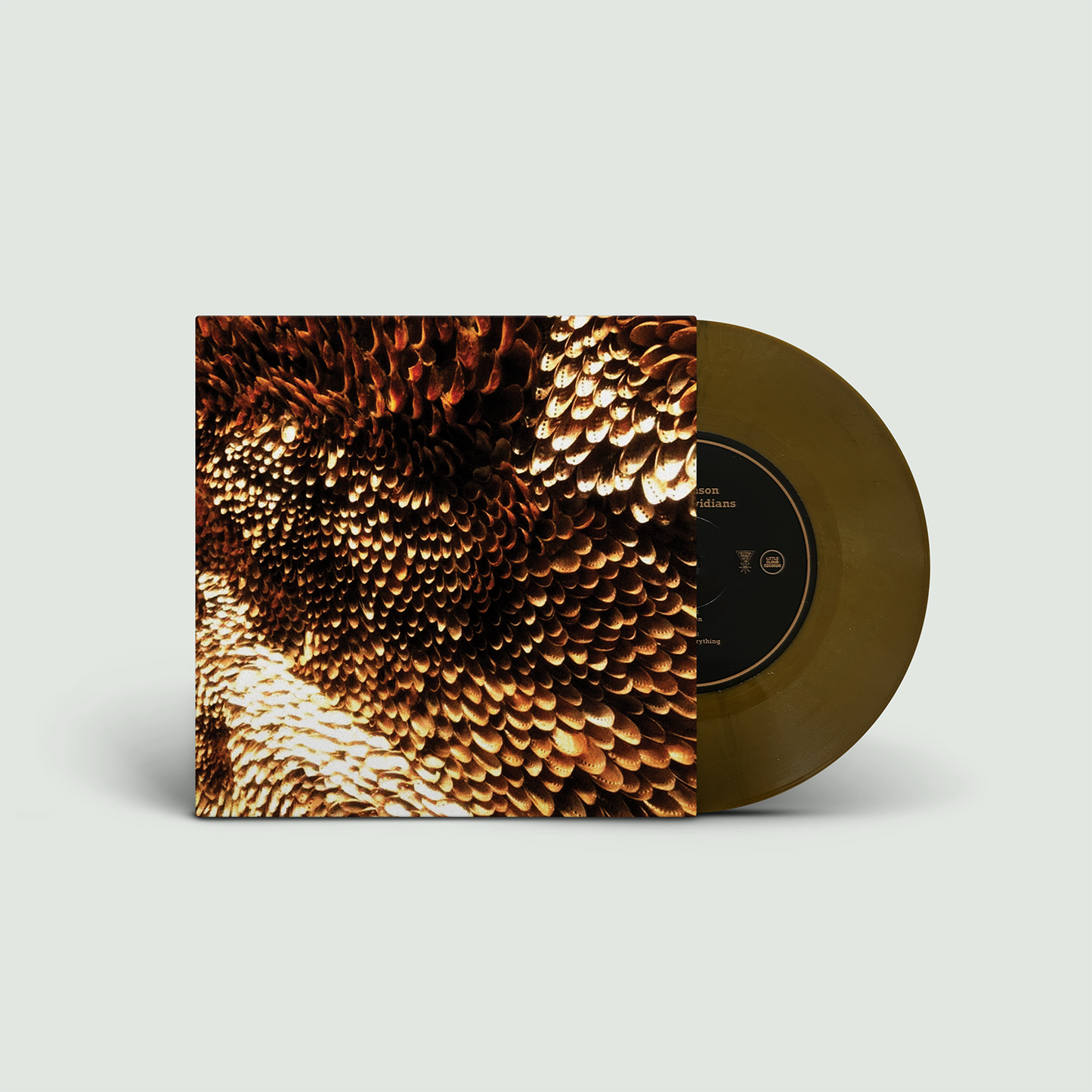 The Stevenson Ranch Davidians - Shine On/I've Got Everything