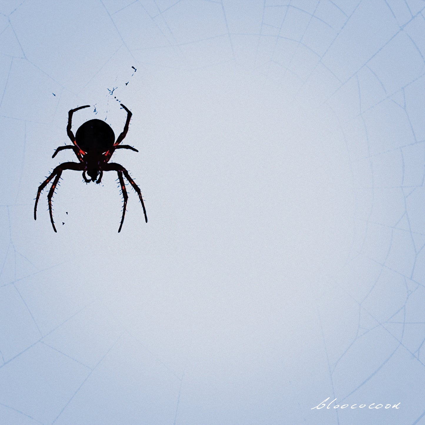 bloococoon - S/T
