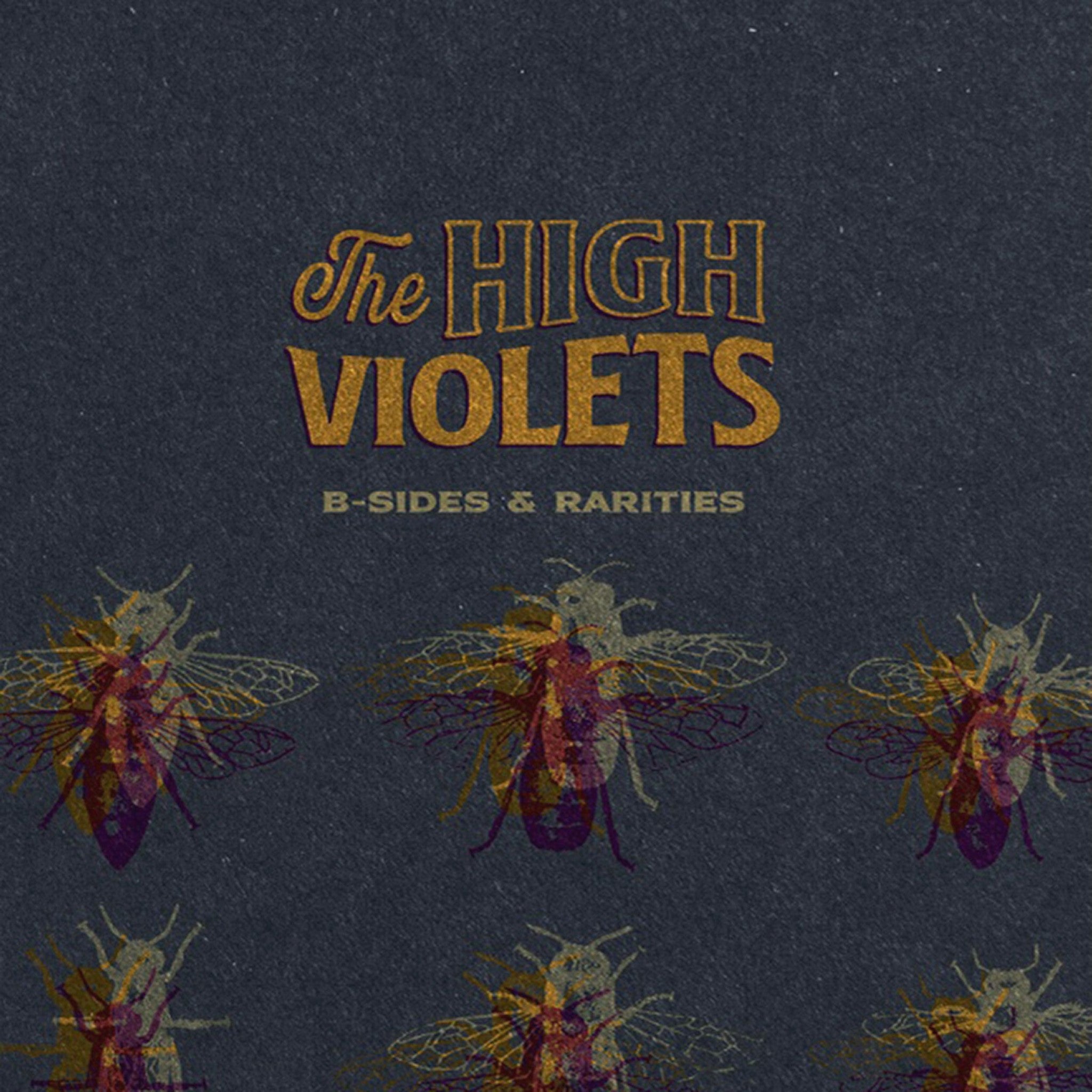 The High Violets B Sides Rarities