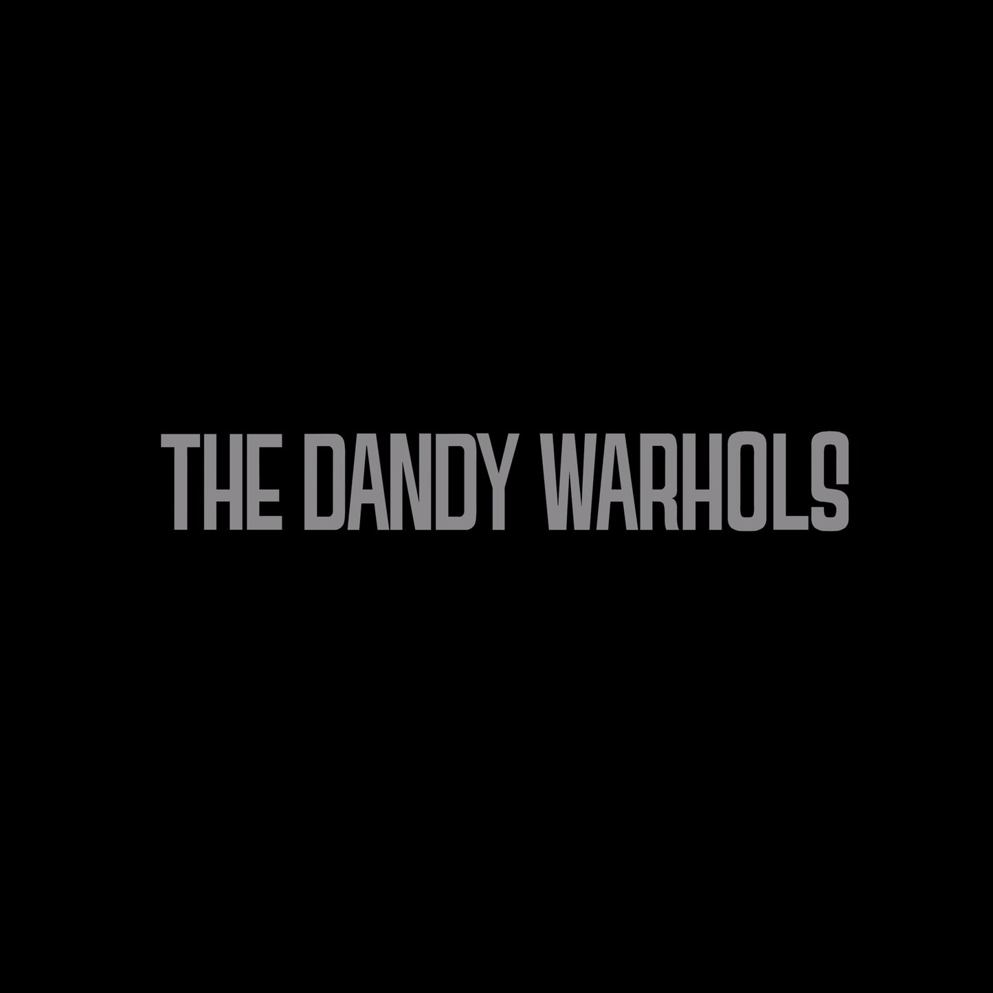 The Dandy Warhols - The Wreck Of The Edmund Fitzgerald 7"