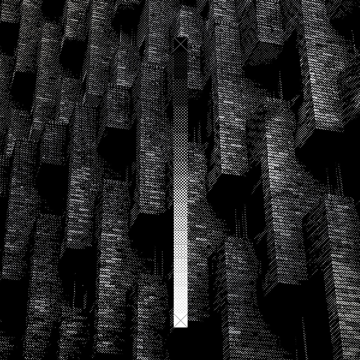The Asteroid No. 4 - In Praise of Shadows