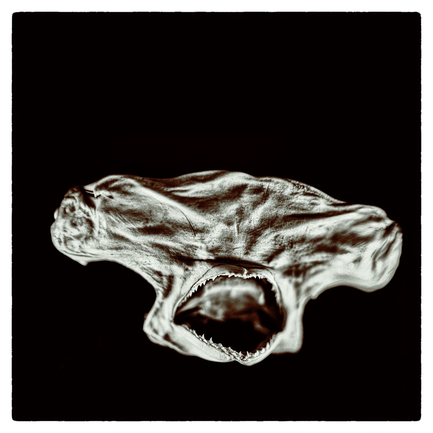 Clone - Care To Try (PRE-ORDER)