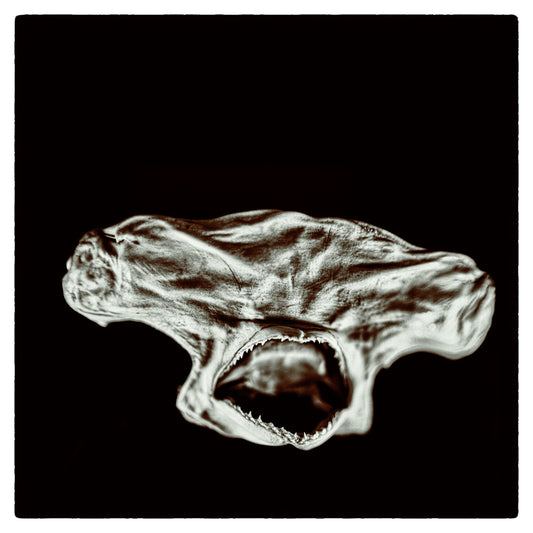 Clone - Care To Try (PRE-ORDER)