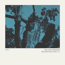 Ivan The Tolerable - Black Water/Brown Earth