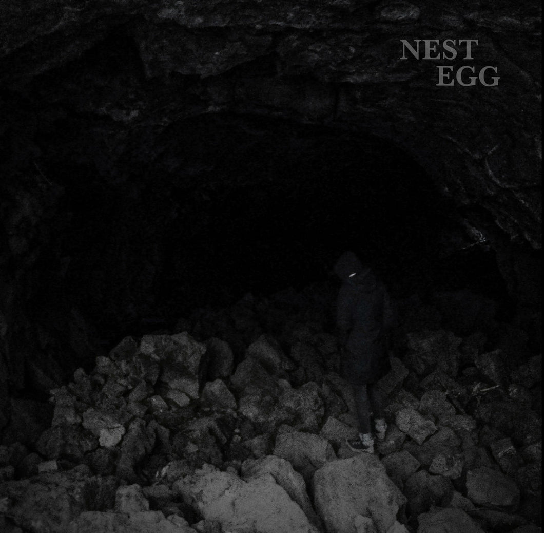 Nest Egg – Nothingness Is Not A Curse (REPRESS)